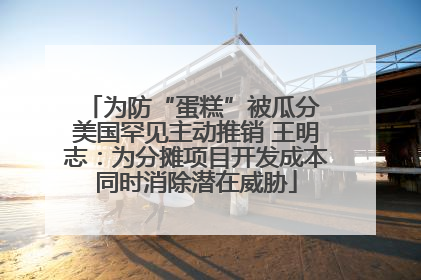 为防“蛋糕”被瓜分 美国罕见主动推销 王明志：为分摊项目开发成本同时消除潜在威胁