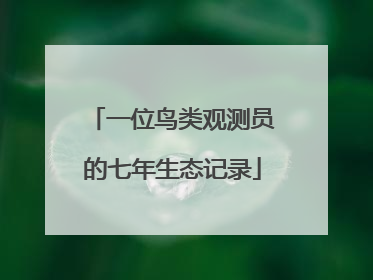 一位鸟类观测员的七年生态记录