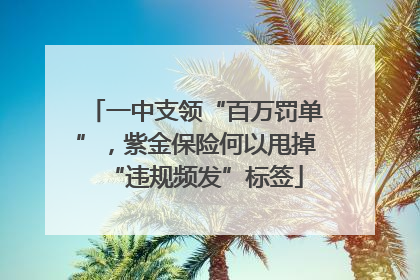 一中支领“百万罚单”，紫金保险何以甩掉“违规频发”标签