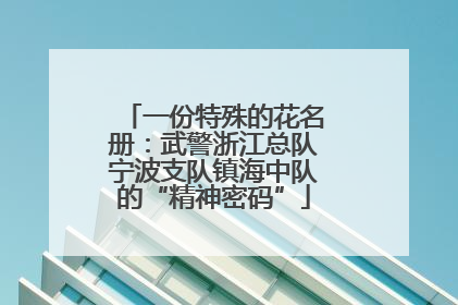一份特殊的花名册：武警浙江总队宁波支队镇海中队的“精神密码”