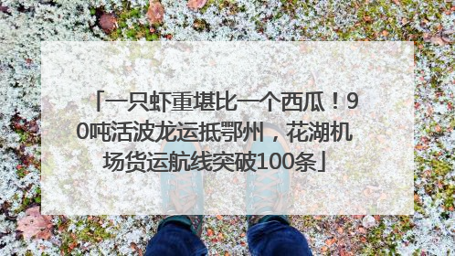 一只虾重堪比一个西瓜！90吨活波龙运抵鄂州，花湖机场货运航线突破100条
