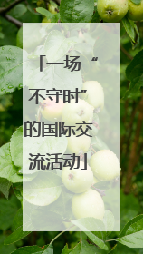 一场“不守时”的国际交流活动