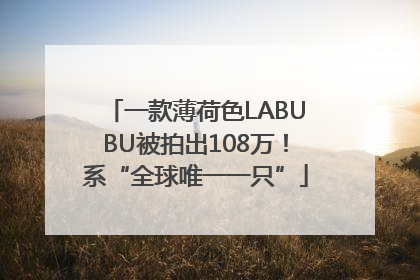 一款薄荷色LABUBU被拍出108万！系“全球唯一一只”