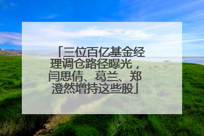 三位百亿基金经理调仓路径曝光，闫思倩、葛兰、郑澄然增持这些股