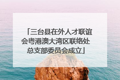 三台县在外人才联谊会粤港澳大湾区联络处总支部委员会成立