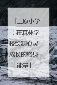 三原小学：在森林学校绘制心灵成长的终身能量
