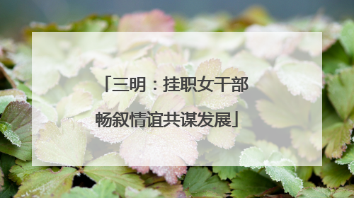 三明：挂职女干部畅叙情谊共谋发展