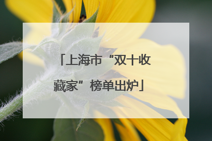 上海市“双十收藏家”榜单出炉