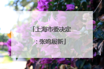 上海市委决定：张鸣履新