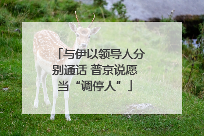 与伊以领导人分别通话 普京说愿当“调停人”
