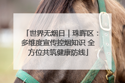世界无烟日｜珠晖区：多维度宣传控烟知识 全方位共筑健康防线