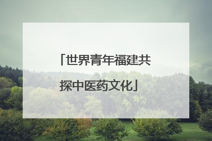 世界青年福建共探中医药文化