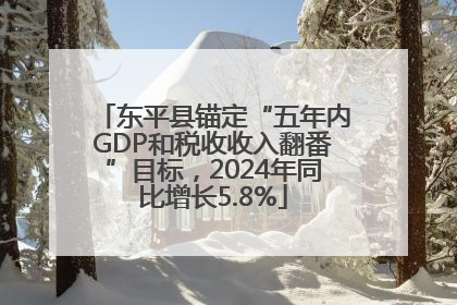 东平县锚定“五年内GDP和税收收入翻番”目标，2024年同比增长5.8%