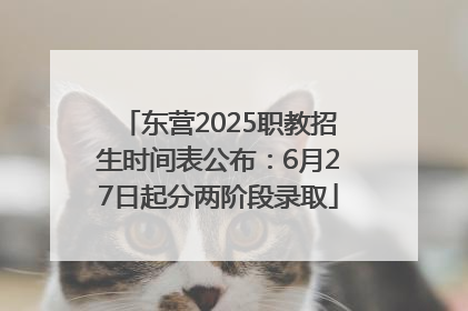 东营2025职教招生时间表公布：6月27日起分两阶段录取
