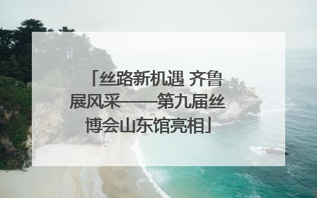 丝路新机遇 齐鲁展风采——第九届丝博会山东馆亮相