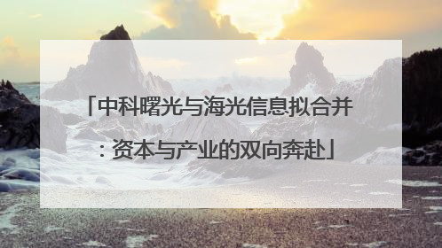 中科曙光与海光信息拟合并：资本与产业的双向奔赴