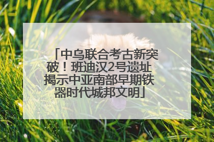 中乌联合考古新突破！班迪汉2号遗址揭示中亚南部早期铁器时代城邦文明