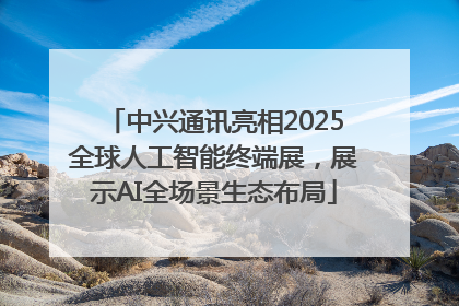 中兴通讯亮相2025全球人工智能终端展，展示AI全场景生态布局