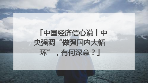 中国经济信心说丨中央强调“做强国内大循环”，有何深意？
