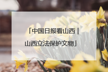 中国日报看山西｜山西立法保护文物