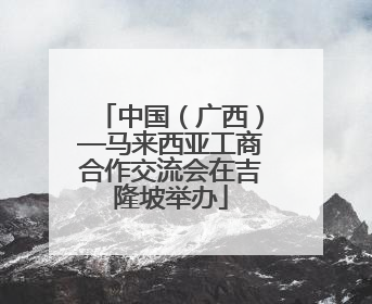 中国（广西）—马来西亚工商合作交流会在吉隆坡举办