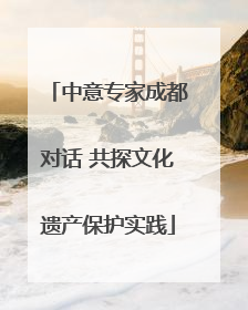 中意专家成都对话 共探文化遗产保护实践