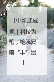 中新武威观｜科技为笔，绘就夏粮“丰”景