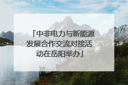 中非电力与新能源发展合作交流对接活动在岳阳举办