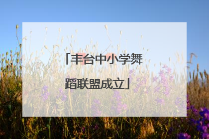 丰台中小学舞蹈联盟成立