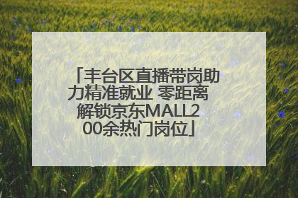 丰台区直播带岗助力精准就业 零距离解锁京东MALL200余热门岗位
