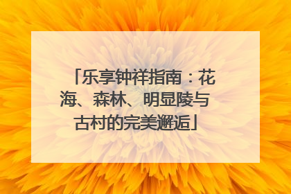 乐享钟祥指南：花海、森林、明显陵与古村的完美邂逅