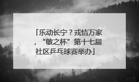 乐动长宁？戎情万家，“敏之杯”第十七届社区乒乓球赛举办