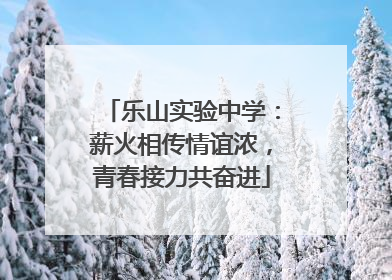 乐山实验中学：薪火相传情谊浓，青春接力共奋进