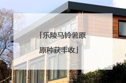 乐陵马铃薯原原种获丰收