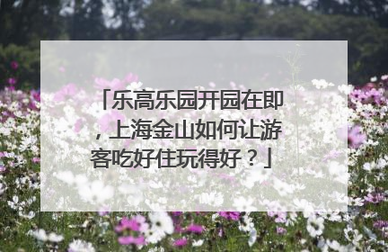 乐高乐园开园在即，上海金山如何让游客吃好住玩得好？