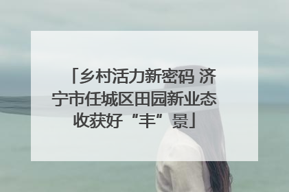 乡村活力新密码 济宁市任城区田园新业态收获好“丰”景