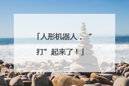 人形机器人，“打”起来了！
