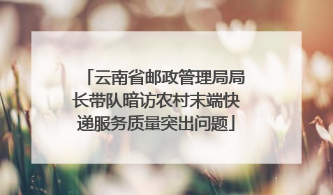 云南省邮政管理局局长带队暗访农村末端快递服务质量突出问题