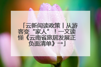 云新闻读政策丨从游客变“家人”！一文读懂《云南省旅居发展正负面清单》→