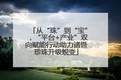 从“珠”到“宝”，“平台+产业”双向赋能行动助力诸暨珍珠升级蜕变