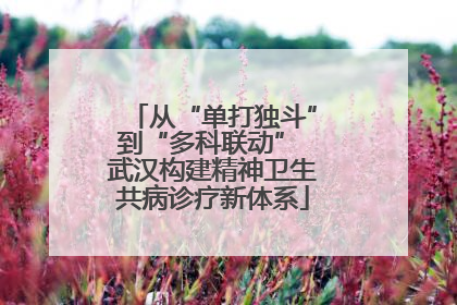 从“单打独斗”到“多科联动” 武汉构建精神卫生共病诊疗新体系