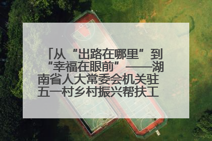 从“出路在哪里”到“幸福在眼前”——湖南省人大常委会机关驻五一村乡村振兴帮扶工作队书写振兴答卷