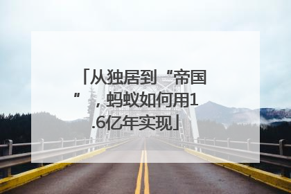 从独居到“帝国”，蚂蚁如何用1.6亿年实现