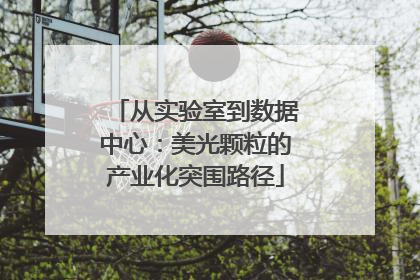 从实验室到数据中心：美光颗粒的产业化突围路径