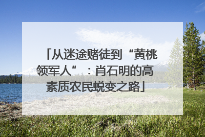 从迷途赌徒到“黄桃领军人”：肖石明的高素质农民蜕变之路