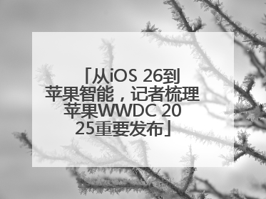 从iOS 26到苹果智能，记者梳理苹果WWDC 2025重要发布