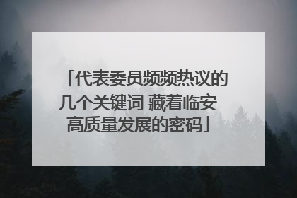 代表委员频频热议的几个关键词 藏着临安高质量发展的密码