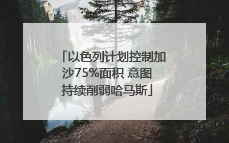 以色列计划控制加沙75%面积 意图持续削弱哈马斯