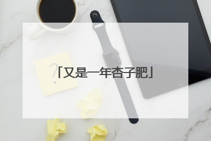 又是一年杏子肥