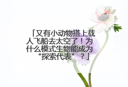 又有小动物搭上载人飞船去太空了！为什么模式生物能成为“探索代表”？